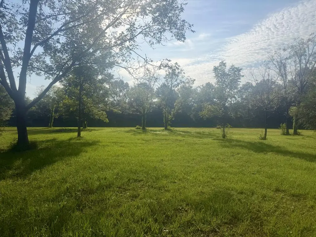118 Henleyfield McNeill Road, Carriere, MS 39426 - #1