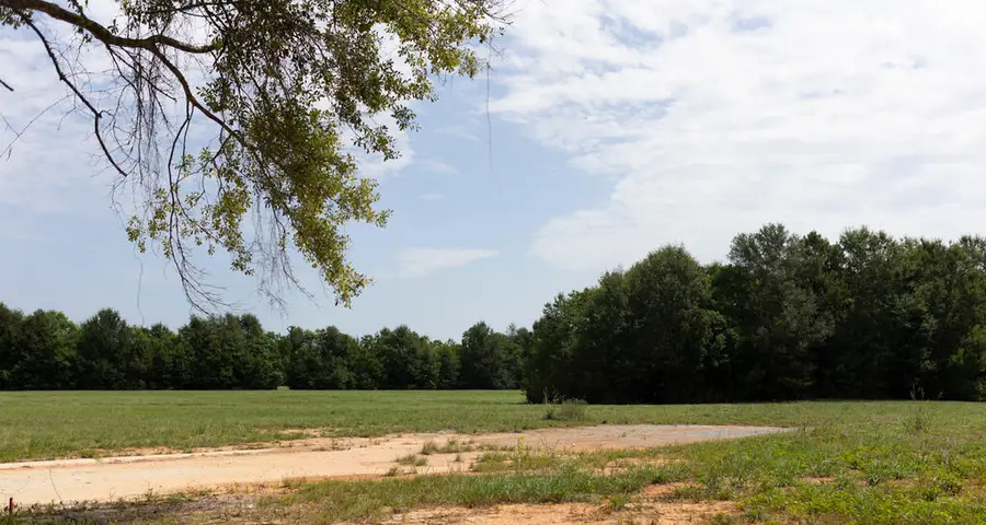 LOT 3 Cooper Rd, Carriere, MS 39426 - #2