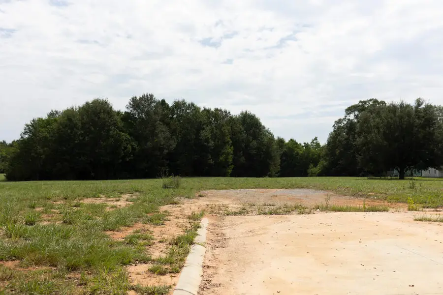 LOT 13 Cooper Rd, Carriere, MS 39426 - #3