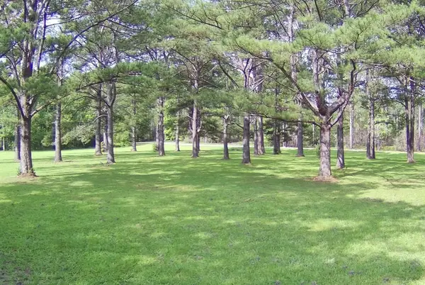 TBD Thompson Lane, Carriere, MS 39426