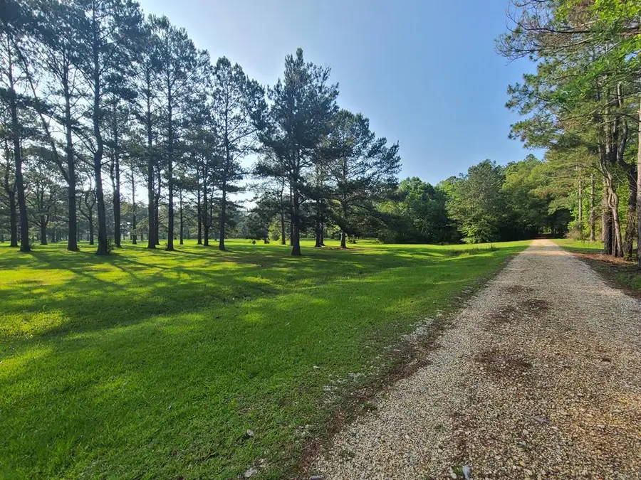 TBD Thompson Lane, Carriere, MS 39426 - #2