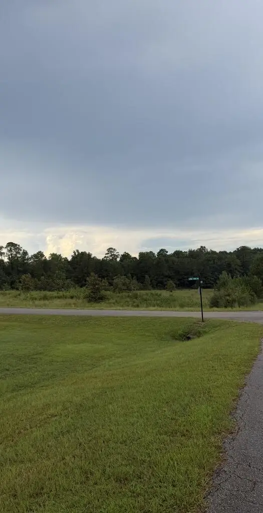 NHN Long Look Dr, Carriere, MS 39426 - #2