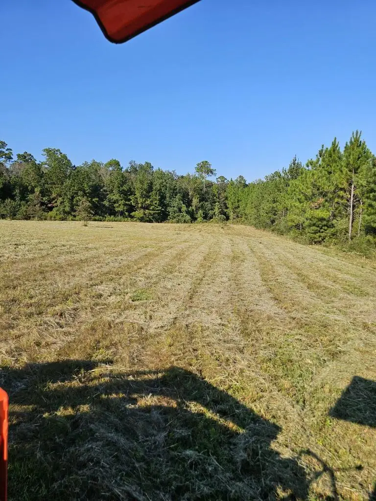 NHN Long Look Dr, Carriere, MS 39426 - #3