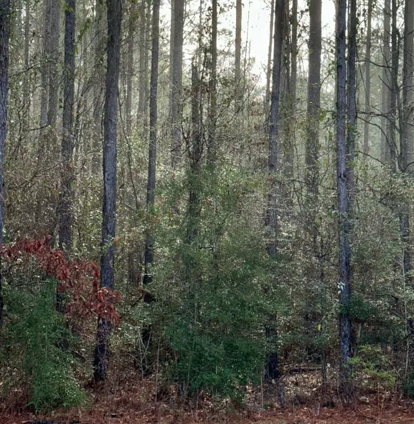 0 Brookhollow Drive, Lot 1203, Unit 13, Carriere, MS 39426