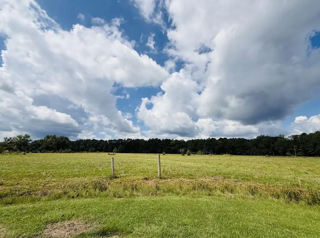 25 Rack Rd Tract 2, Picayune, MS 39466 - #1