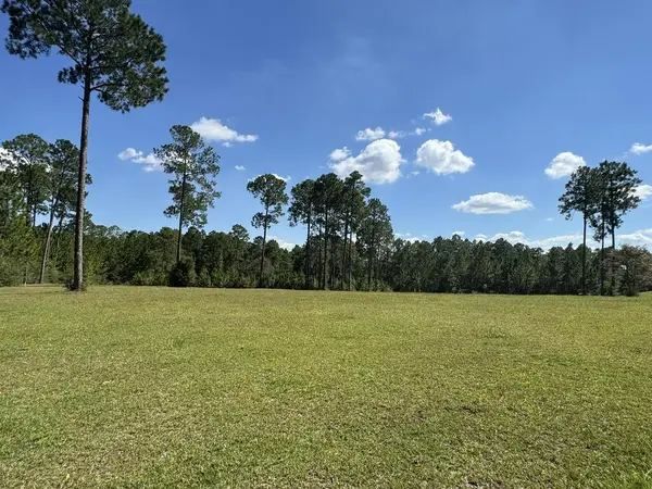 Lot 189 Towering Pines, Carriere, MS 39426