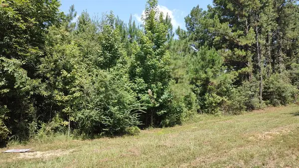 NHN Worth Nall Rd, Lumberton, MS 39455