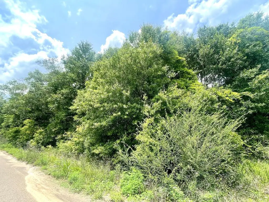 NHN Theodore Dr, Poplarville, MS 39470 - #1