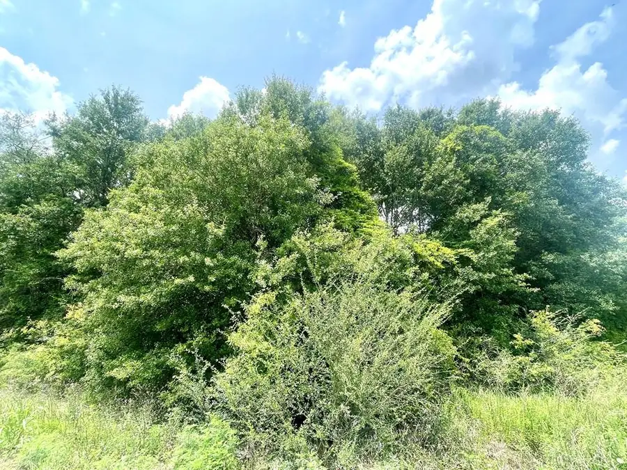 NHN Theodore Dr, Poplarville, MS 39470 - #2
