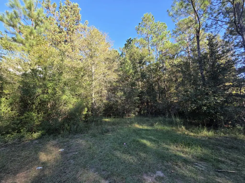 31 Farmhouse Ln, Poplarville, MS 39470 - #1