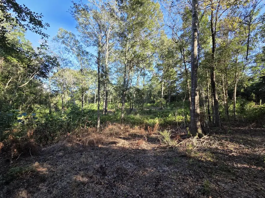 31 Farmhouse Ln, Poplarville, MS 39470 - #2