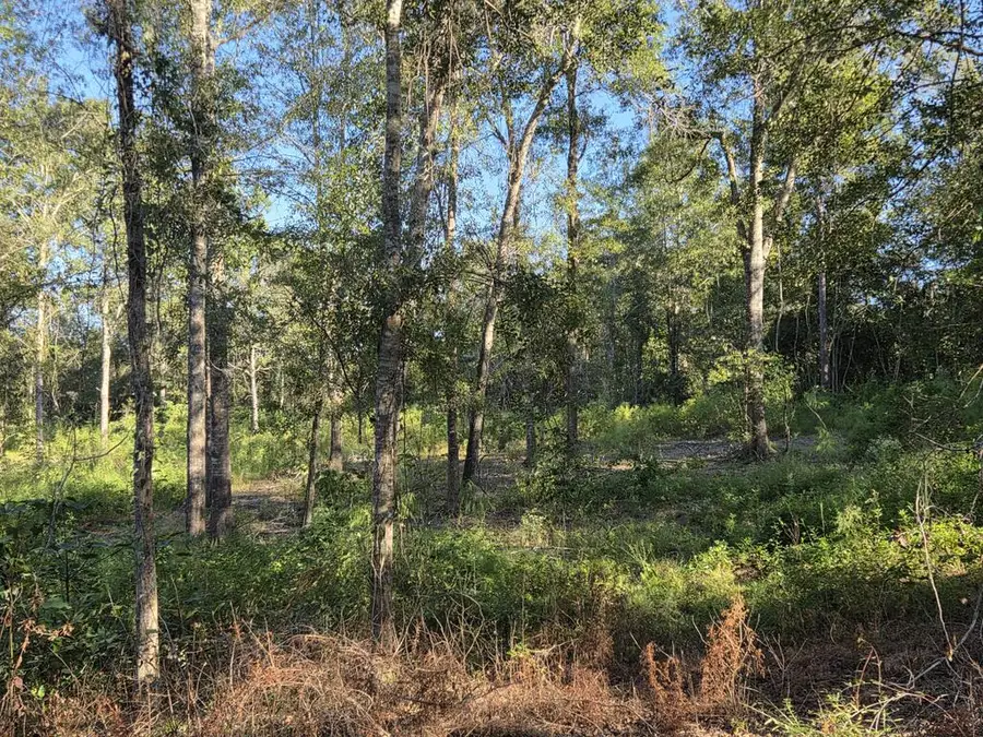 31 Farmhouse Ln, Poplarville, MS 39470 - #3