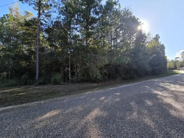 NHN Parcel 4 Redfish Rd, Poplarville, MS 39470