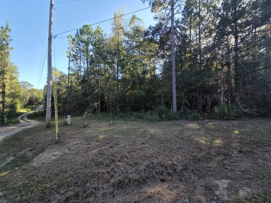NHN Parcel 4 Redfish Rd, Poplarville, MS 39470 - #2
