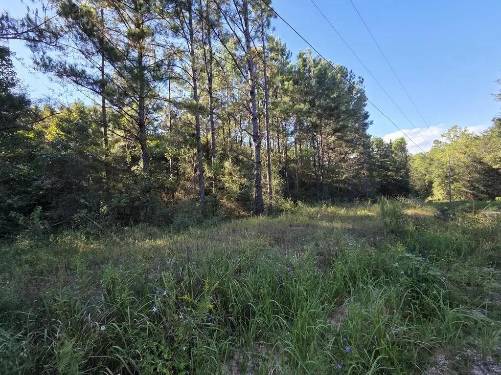 NHN Parcel 5 Redfish Rd, Poplarville, MS 39470 - #1