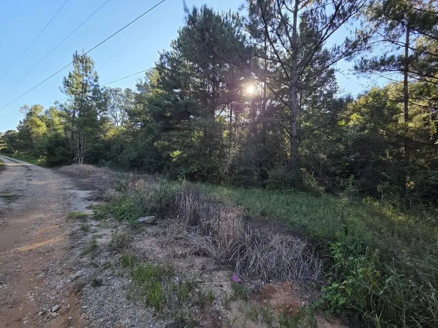 NHN Parcel 5 Redfish Rd, Poplarville, MS 39470 - #2
