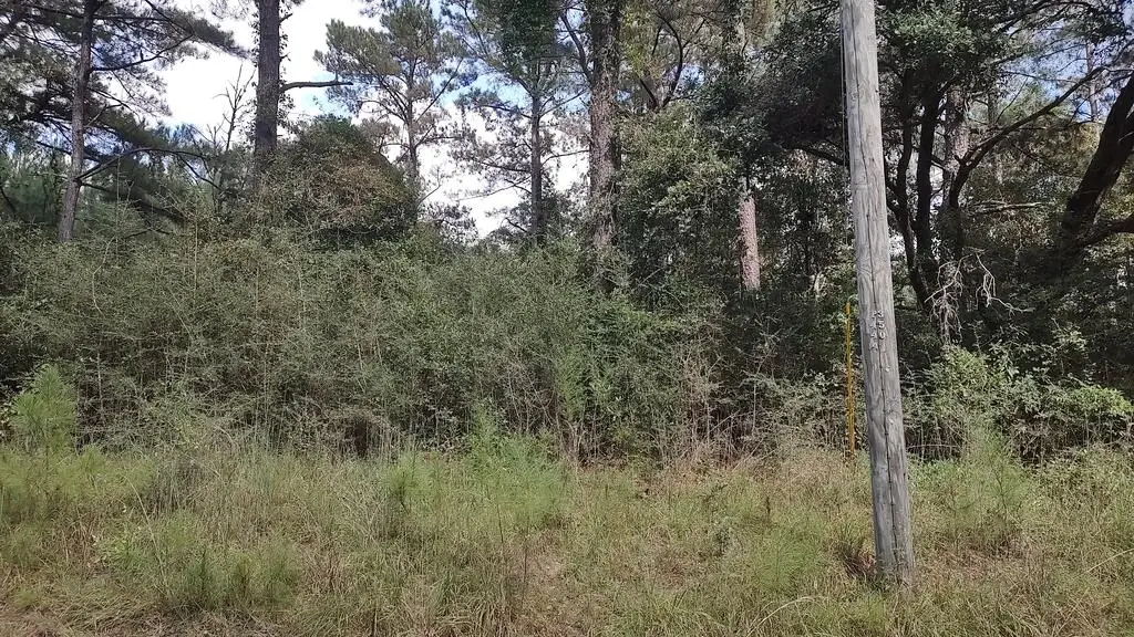 NHN Deer Creek, Lumberton, MS 39455 - #1