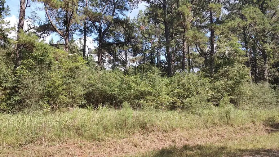 NHN Deer Creek, Lumberton, MS 39455 - #2