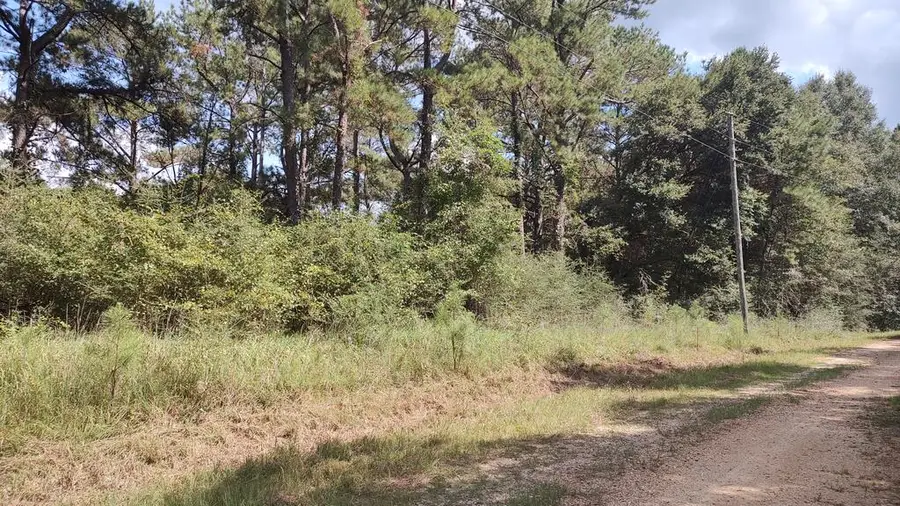 NHN Deer Creek, Lumberton, MS 39455 - #3