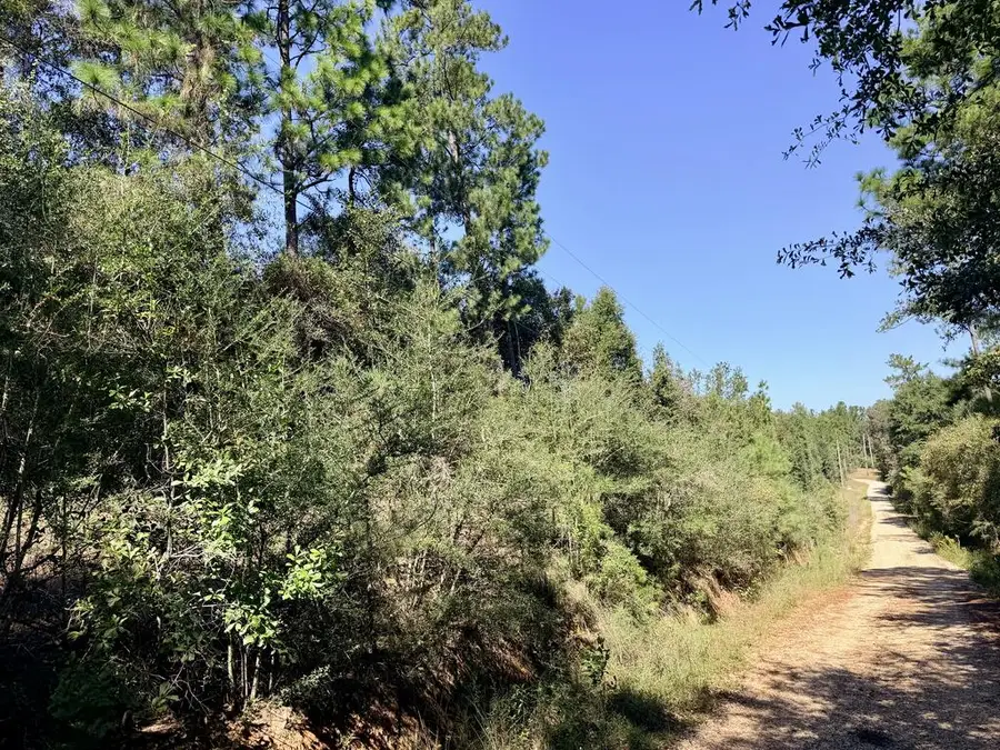 NHN Gray Fox Road, Carriere, MS 39426 - #3