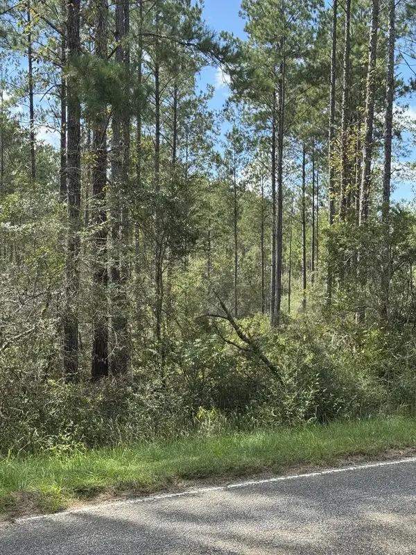 00 Lot C Foots Stevens Road, Poplarville, MS 39470
