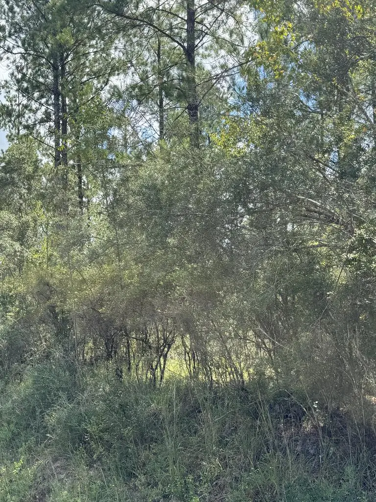 00 Lot D Foots Stevens Road, Poplarville, MS 39470 - #3