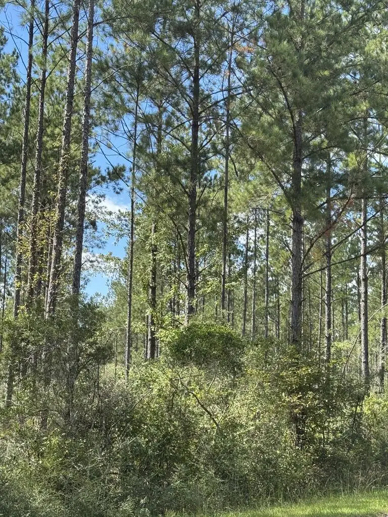 00 Lot E Progress Silver Run Road, Poplarville, MS 39470 - #2