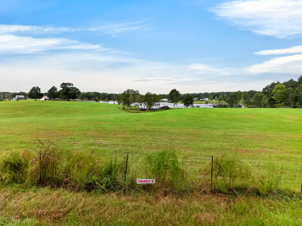 Parcel 2 El Shaddai Rd, Poplarville, MS 39470 - #1