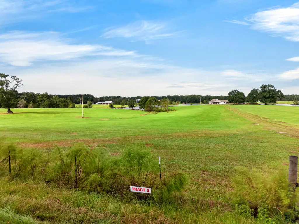 Parcel 5 El Shaddai Rd, Poplarville, MS 39470 - #1