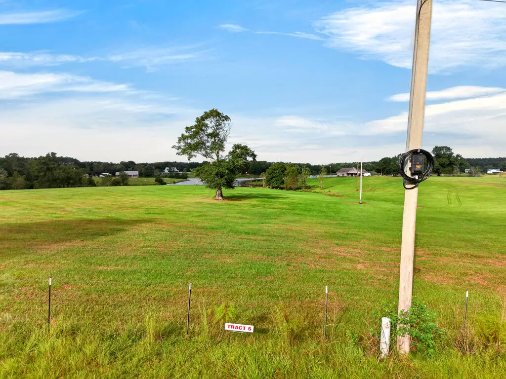 Parcel 6 El Shaddai Rd, Poplarville, MS 39470 - #1