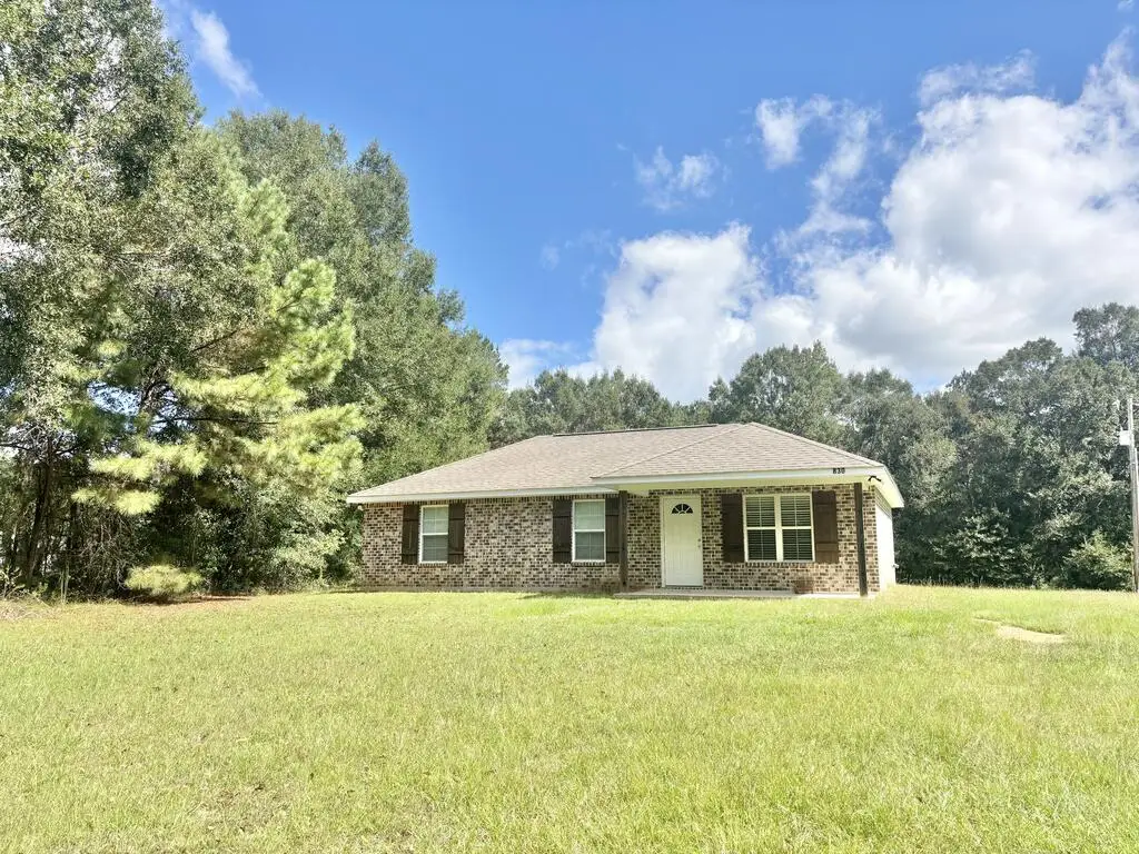 830 Rock Ranch Rd, Carriere, MS 39426 - #1