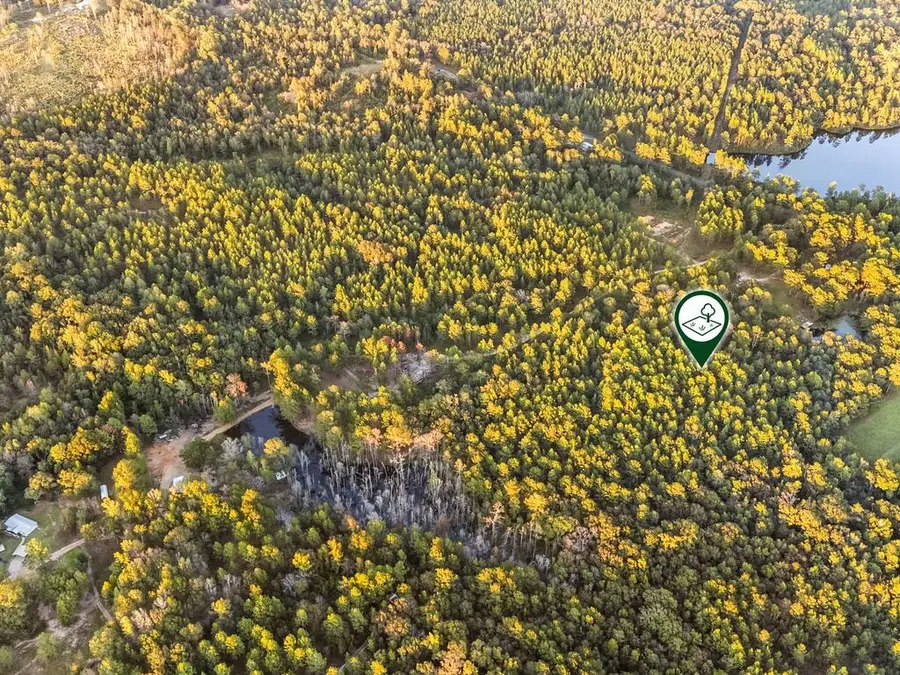 0 Flowers Ln LOT 3, Poplarville, MS 39470 - #2