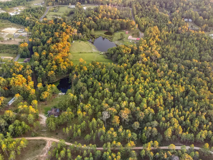 0 Flowers Ln LOT 3, Poplarville, MS 39470 - #3