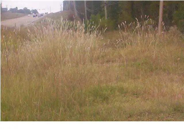 0 Highway 80 Highway, Jackson, MS 39209 - Image #3