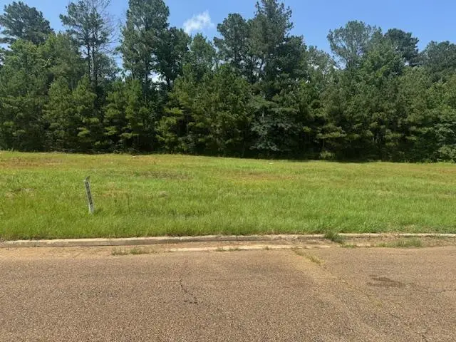 Lot 3 Business Center Drive, McComb, MS 39648 - Image #1