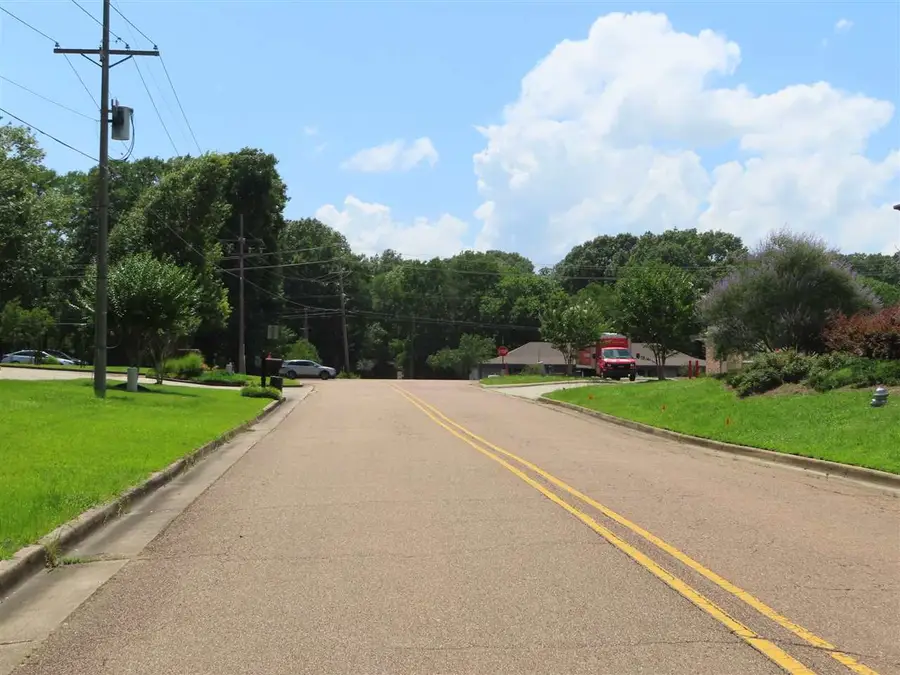 105 Woodchase Park Drive, Clinton, MS 39056 - Image #2