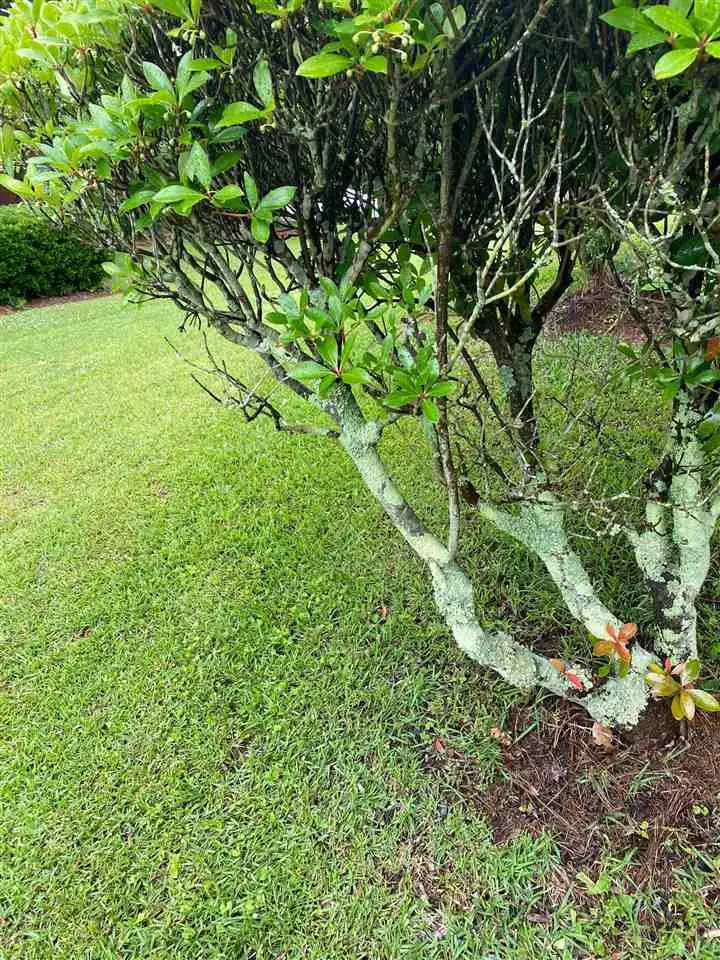 000 Livingston Road, Madison, MS 39110 - Image #1