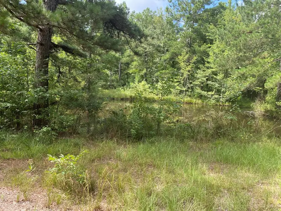 2697 River Road, Silver Creek, MS 39663 - #3