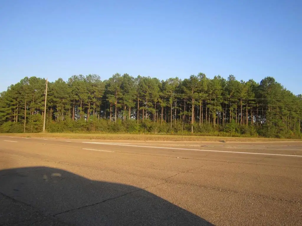 00 Airport Rd / U S Hwy 84, Prentiss, MS 39474 - Image #1