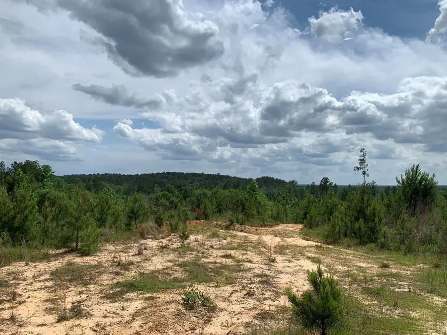 . Sw Of Oldenburg Road, Meadville, MS 39653 - Image #2