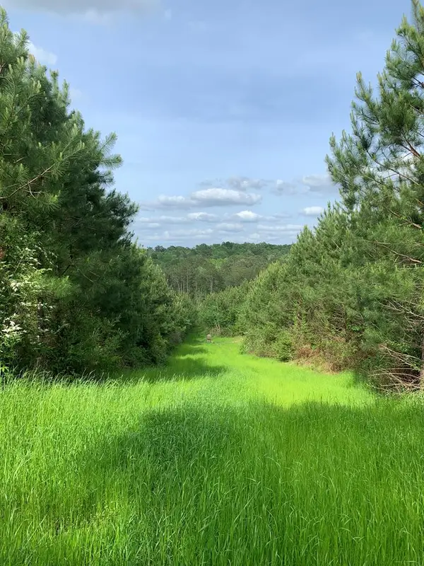 . Macedonia Road, Centreville, MS 39631