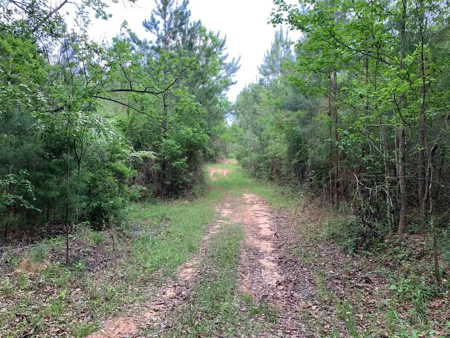 . Macedonia Road, Centreville, MS 39631 - Image #2