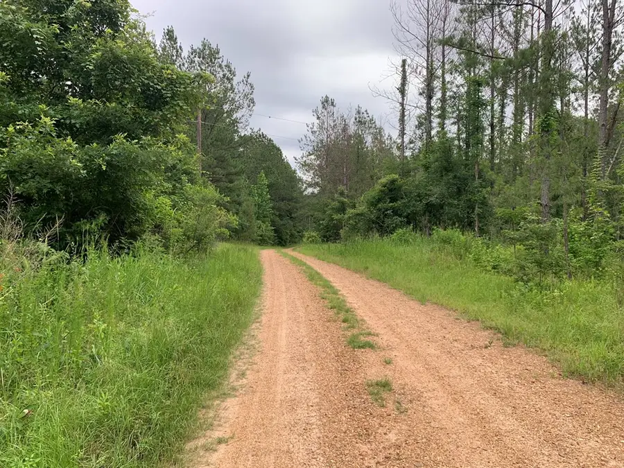 . Perrytown Road, Crosby, MS 39633 - Image #3