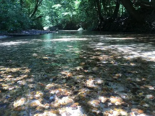 . Givens Mullins Road, Monticello, MS 39654 - Image #1