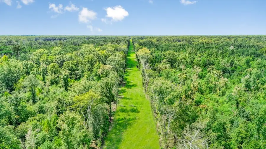0 Jack Torres Road, Erwinville, LA 70729 - Image #3