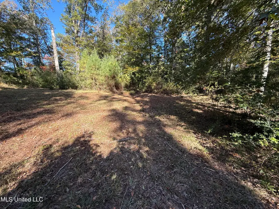 Paige Drive, McComb, MS 39648 - Image #3