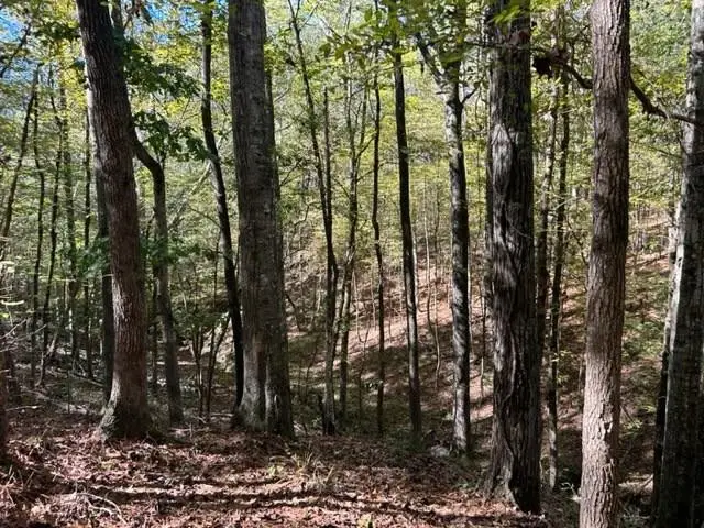 TBD Highway 550, Union Church, MS 39668 - Image #1