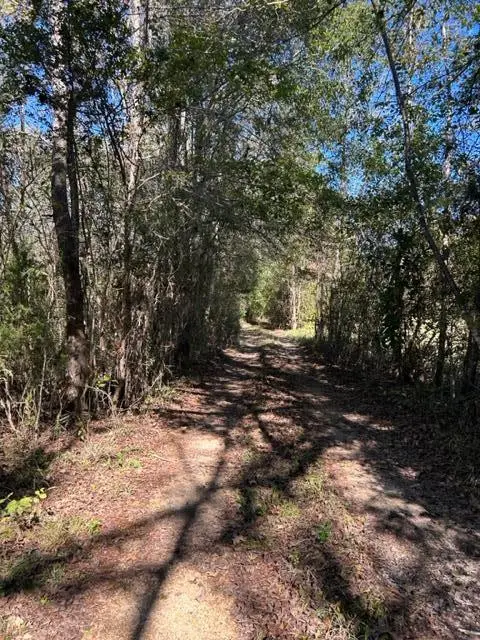 TBD Highway 550, Union Church, MS 39668 - Image #2