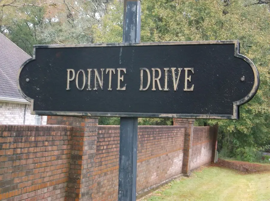 TBD Pointe Drive, Summit, MS 39666 - Image #2