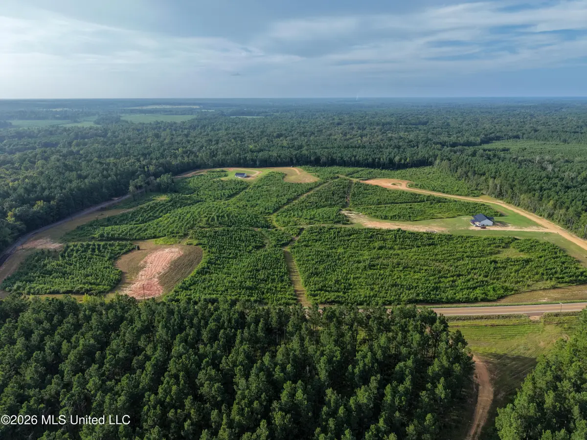 Parcel 6 Firehouse Road, Liberty, MS 39645 - #1
